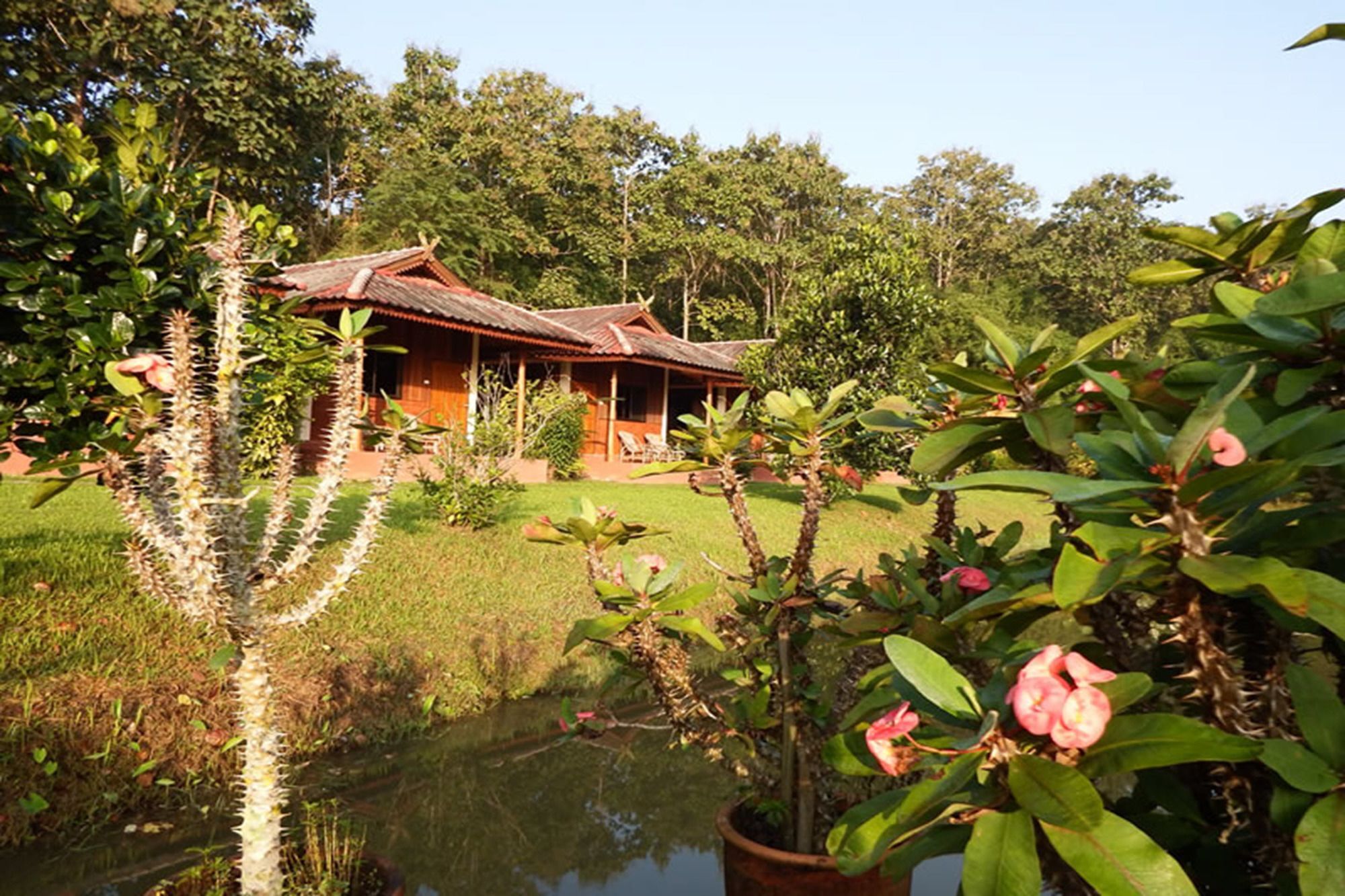 Noks Garden Resort 清莱 外观 照片